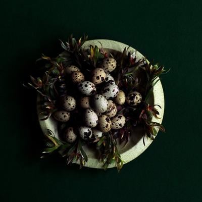 The Dining Room by James Viles
